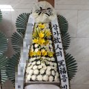 중앙U병원 이미지