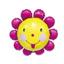 해바라기PC 이미지