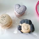 스테이위드유(stay with you) 이미지