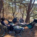 섬지캠핑장 이미지