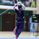 강호파이터(우슈) 이미지