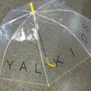 로키 스위밍 클럽 이미지