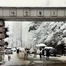 마음수련 이미지