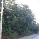 곡성-109 이미지