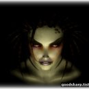 졸리 크래프트 이미지