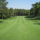 러프(Rough) 이미지