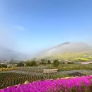 가천민박 | [경상남도 남해군] 해변정