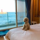 양양 더 하루 펜션 | 양양 애견동반 펜션 오션뷰 멋진 NOL 숙소 추천해요~