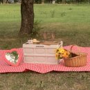 세븐일레븐 경산조영점 이미지