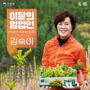 하늘내 투어코리아