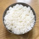 논현로13길 10 (1) | 제주공항 근처 노포 맛집 신해바라기분식 내돈내산 후기(풍자 또간집 우승)