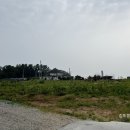 벨리세펜션 네이버블로그