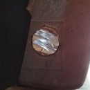 푸른카센타 이미지