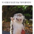 따봉 - 제주시 삼무로 40 | 따봉