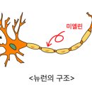 김미현수학학원