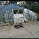 영가로(동부동) 이미지