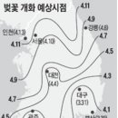 벚꽃*절정시기&축제일정 이미지