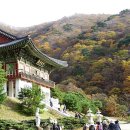 부석사 - 서산시 | 부석사