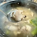 영자네능이백숙 | 동해터미널 근처 보양식 맛집 | 영자네 능이백숙 닭한마리 후기