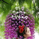 비견