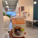 자담치킨두호점