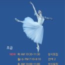 정겨운발레학원