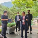 단양테니스장 이미지