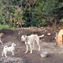 오케이승마장 이미지