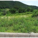 동강백운산 민박 이미지