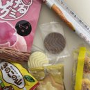 돼지동전노래연습장 이미지