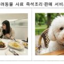 케이에스산업가스 - 2060 | 케이에스산업가스