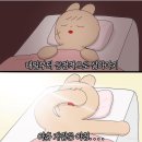 고양이묭실 | 오늘도 어차피 월(ㄴ)래대로 행복할거야