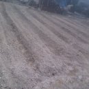 금란농장 이미지