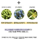 스킨룩스에스테틱 | 청대연고 흉터크림 더마허브 스킨룩스 크림~