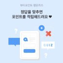 설레다뷰티