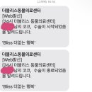 더블리스동물의료센터 네이버블로그