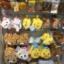 노리앤조이 | 도쿄여행 1일차 | 카구라자카•츠지한•이케부쿠로•모토무라규카츠