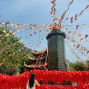 사오농장 이미지