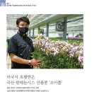 죠이풀법인