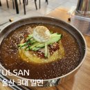 울산3대밀면 | 울산 남구 3대밀면 신정점 맛집 추천 후기 물밀면 비빔밀면 섞어밀면