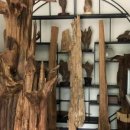 중한약품(주) 이미지