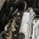 애니카랜드 노원점 이미지