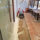 전남대학교 생활관 이미지