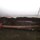 일진빌리지 이미지