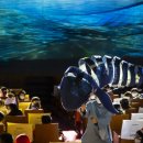 인형극 해를 낚은 할아버지 이미지