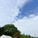 파주 눌노리캠핑장 애견동반 가능 (B8 사이트)