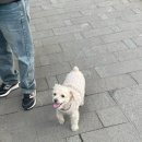 하롱베이는 무협지로만 보세요🥲🇻🇳 (feat. 패키지 가족여행 마지막화)