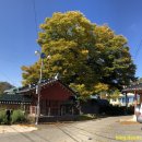 친목마을_하 이미지