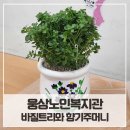 웅상노인복지관 이미지