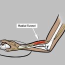 몸짱만들기GYM 이미지